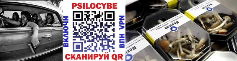 Галлюциногенные грибы GOLDEN TEACHER  Купить где  Шарыпово 